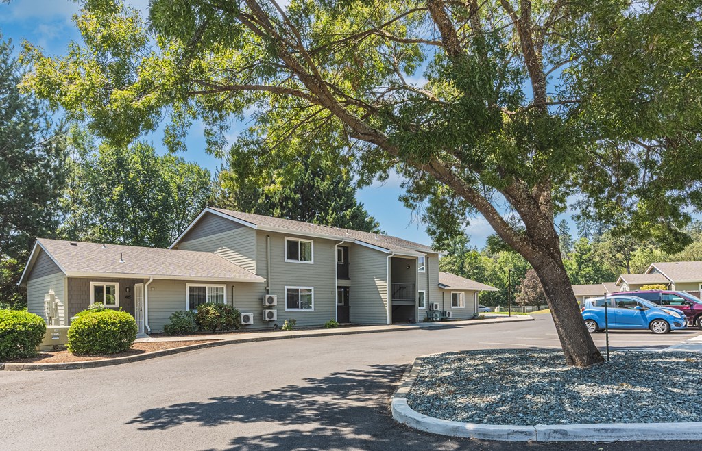 a street view of a house with a tree in front of it