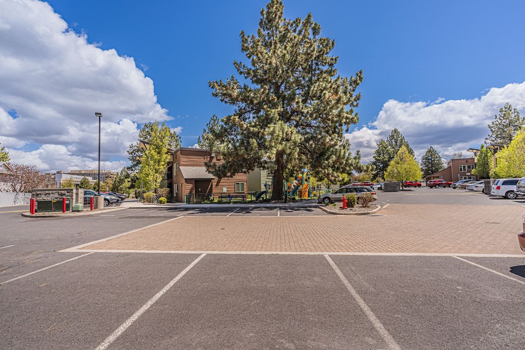 A parking lot with a large tree in the middle and a building in the background.