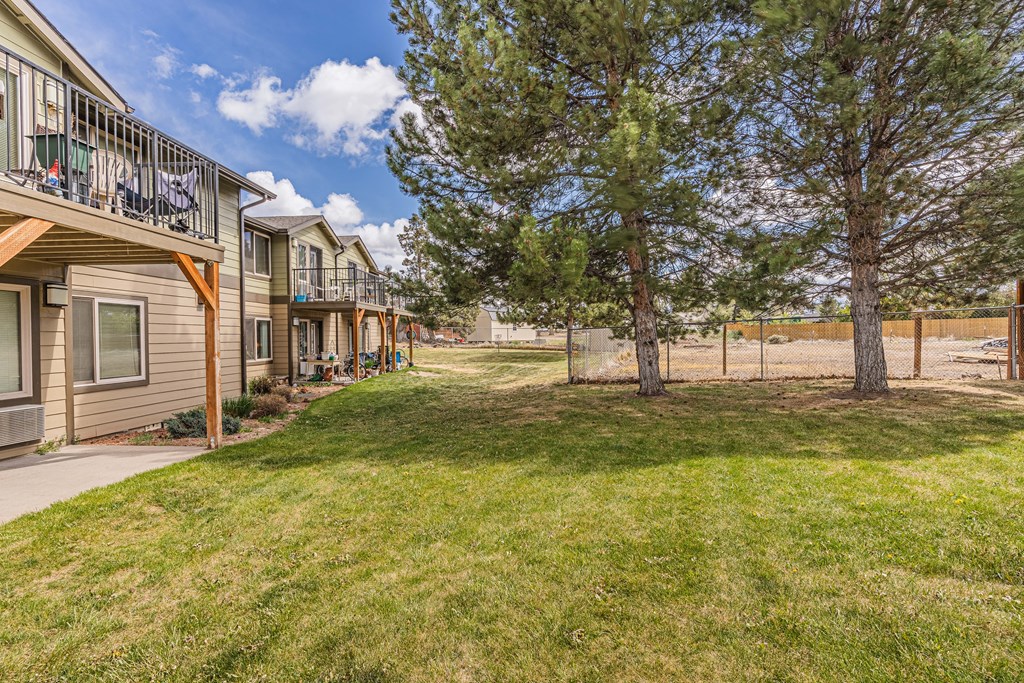 the backyard of a house with trees and a fence