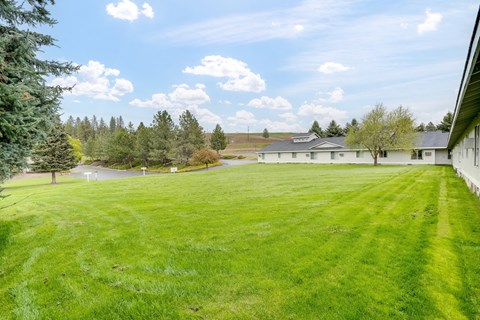 a large yard with a house in the background