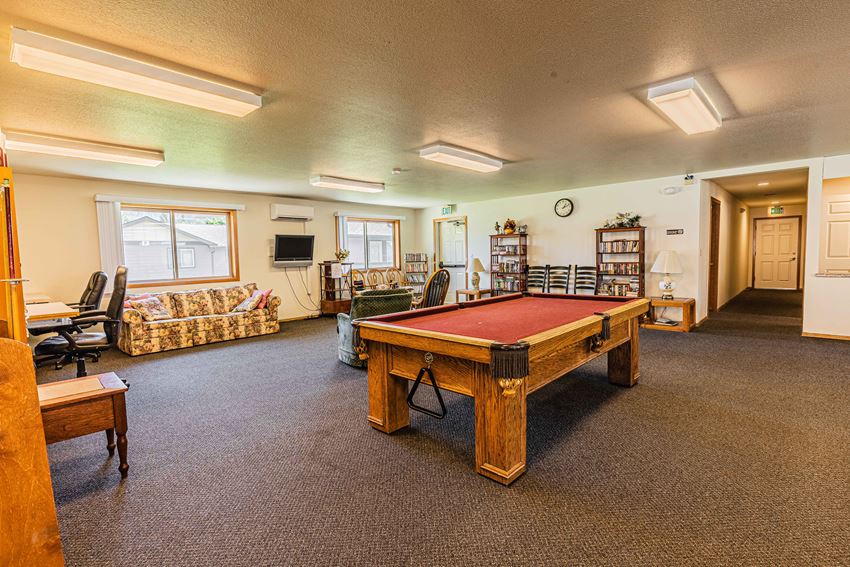 a games room with a pool table