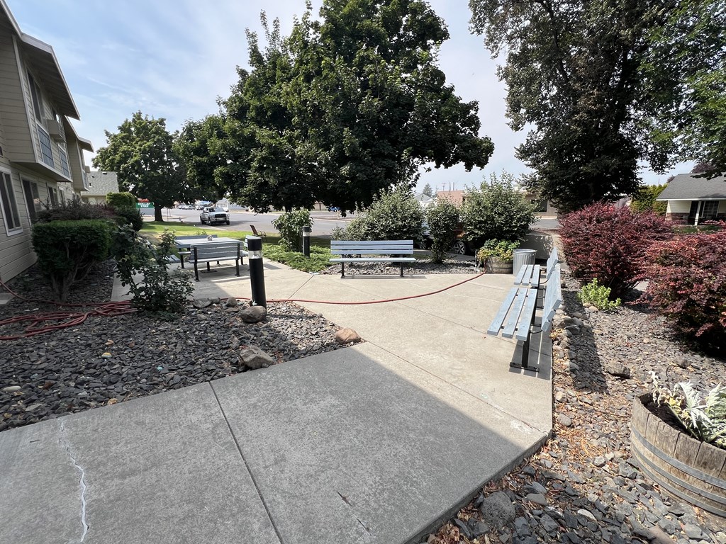 a walkway with benches and trees in a park