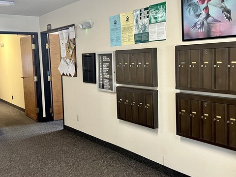 a group of lockers and doors on a wall in a hallway