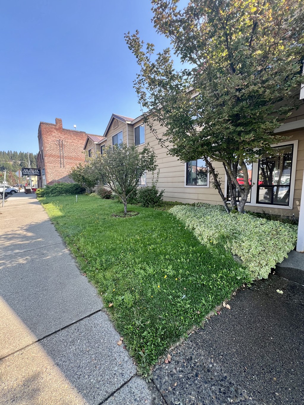 a sidewalk in front of a house with grass and trees