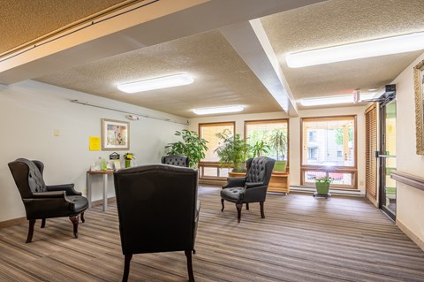 A room with three black chairs and a small table with a potted plant on it.