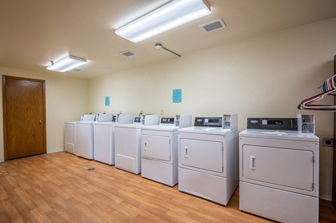 A row of washing machines are lined up in a laundry room.