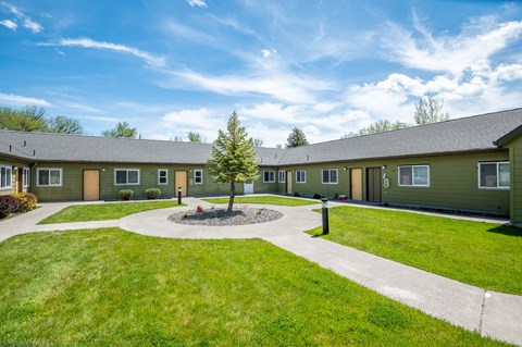 a group of green houses with a yard and sidewalk