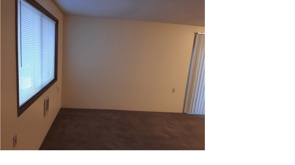 Living room in Leisure Way Apartments in Wallowa, Oregon