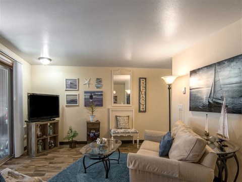 a living room with a couch and a tv