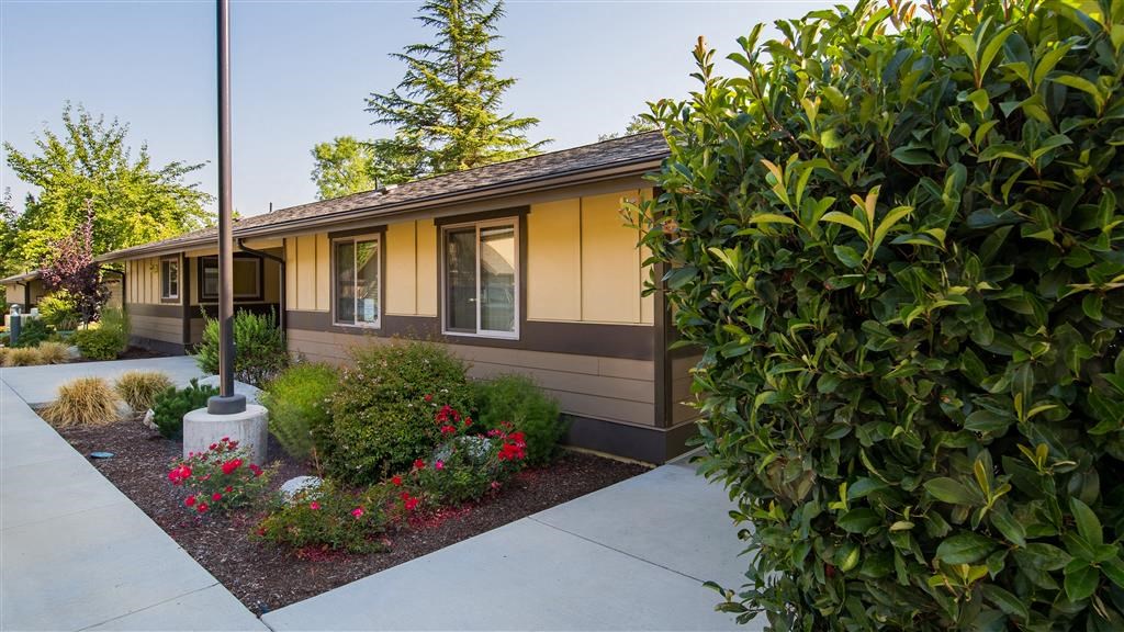 a house with a sidewalk and plants in front of it