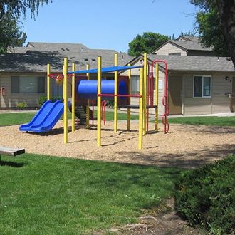 a playground with a blue slide and