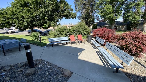 a park with benches and trees and a sidewalk
