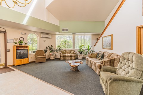 a living room with couches and chairs and a fireplace
