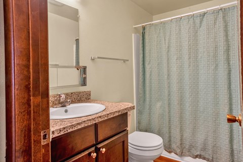 a bathroom with a shower and a sink and a toilet