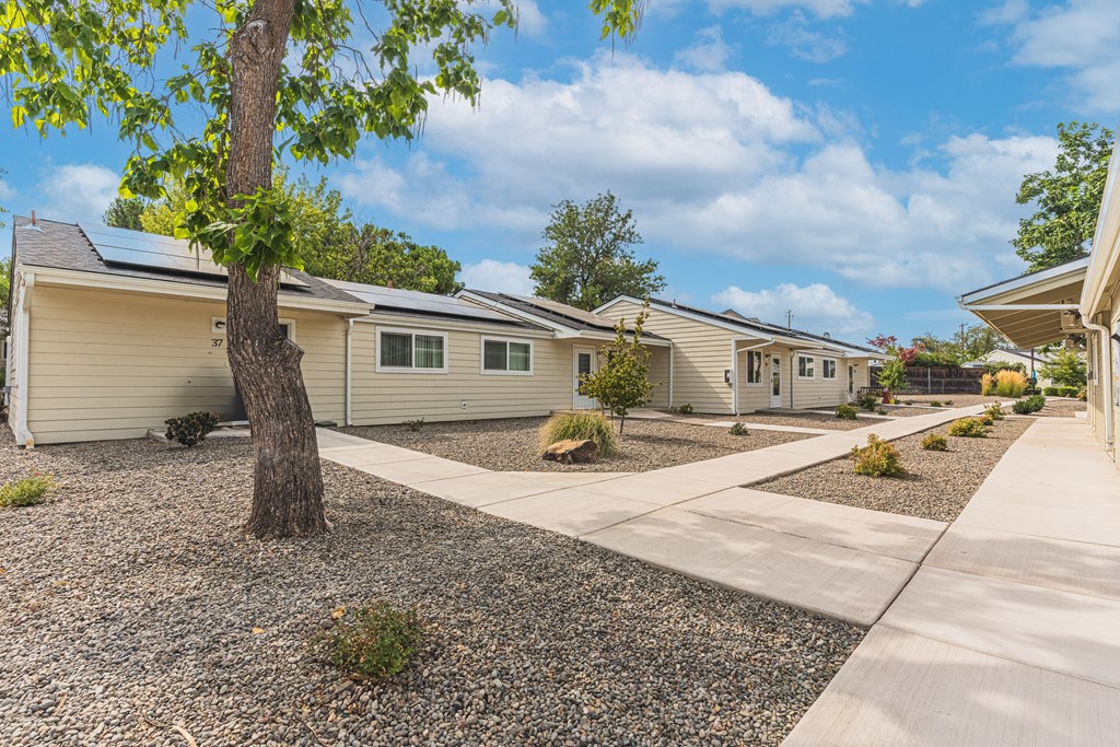 a row of mobile homes in a yard with a sidewalk and trees