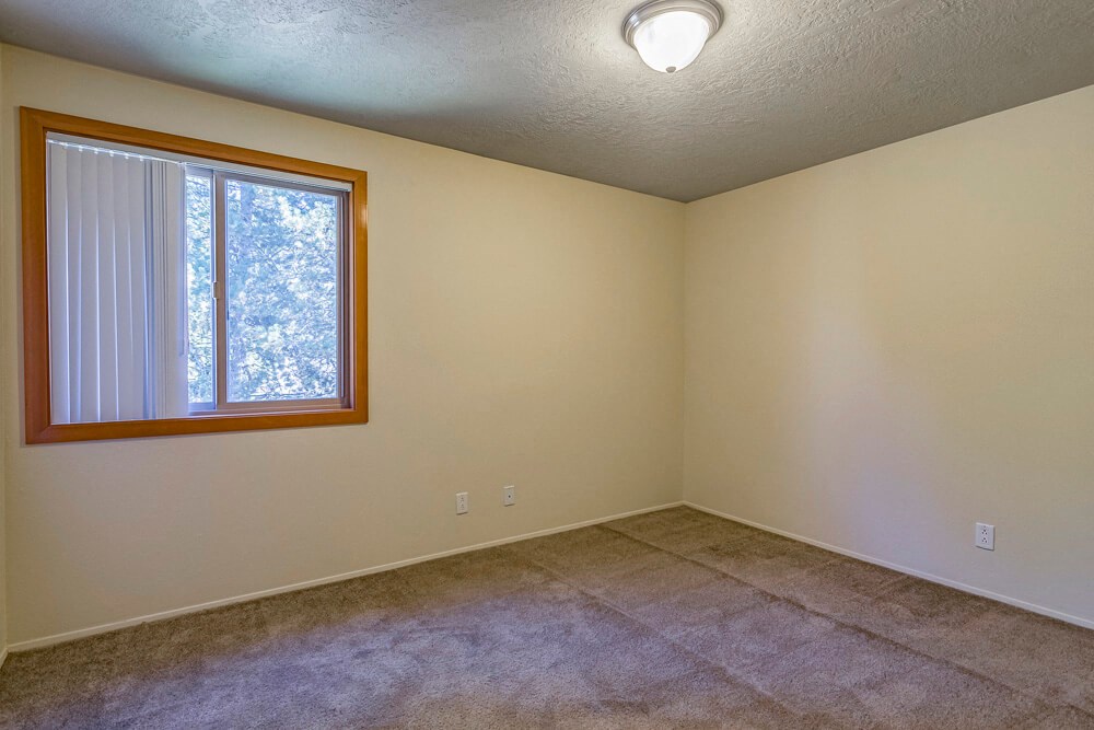 a empty living room with a window and carpet