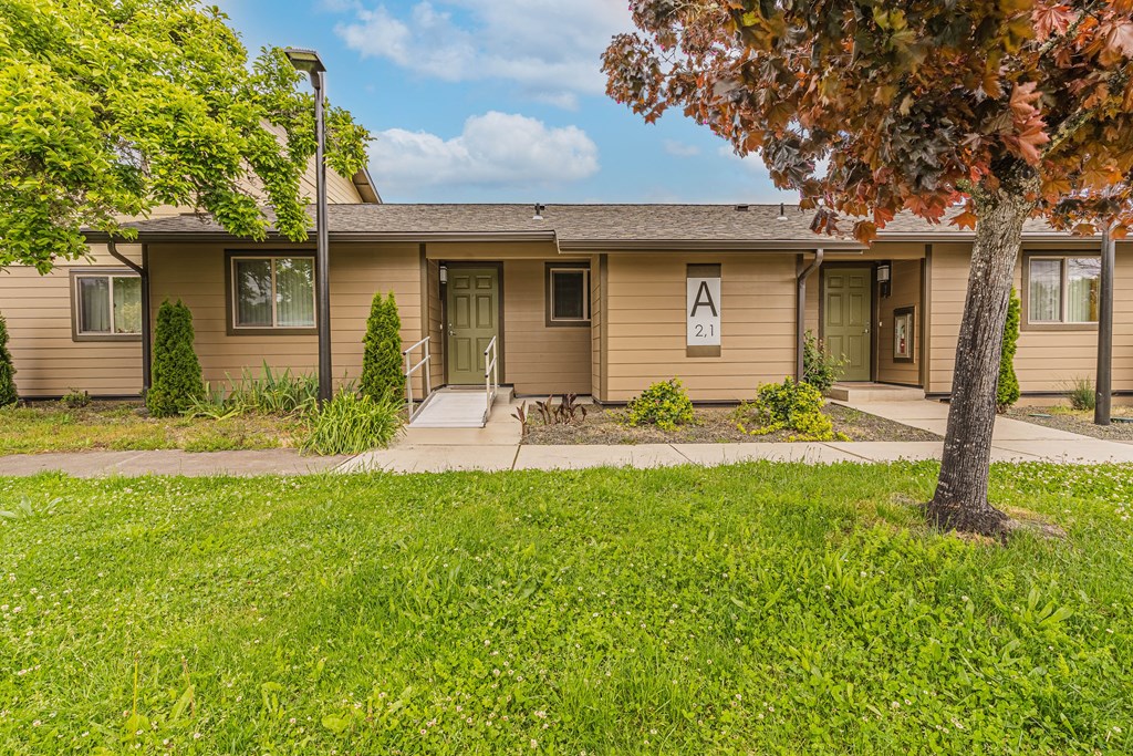 the front of a brown house with a yard and a tree
