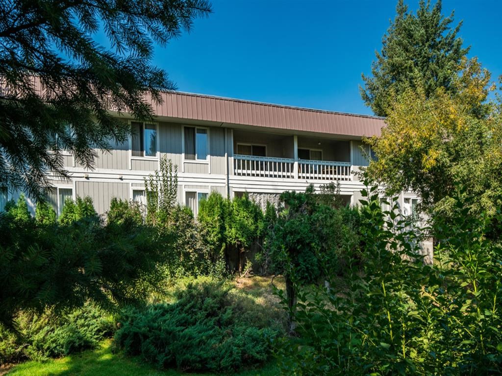 a white building with trees and bushes in front of it