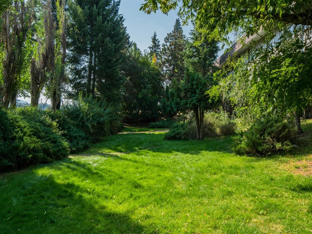 a backyard with green grass and trees
