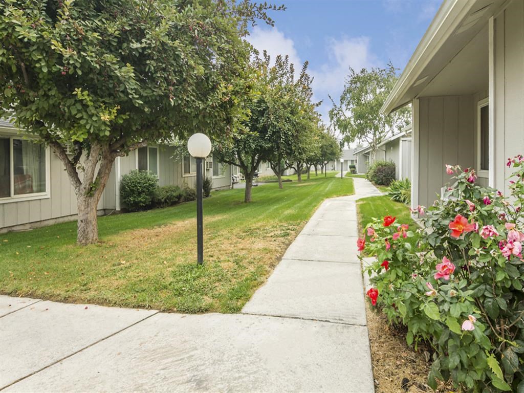 a sidewalk in front of a building with trees and flowers