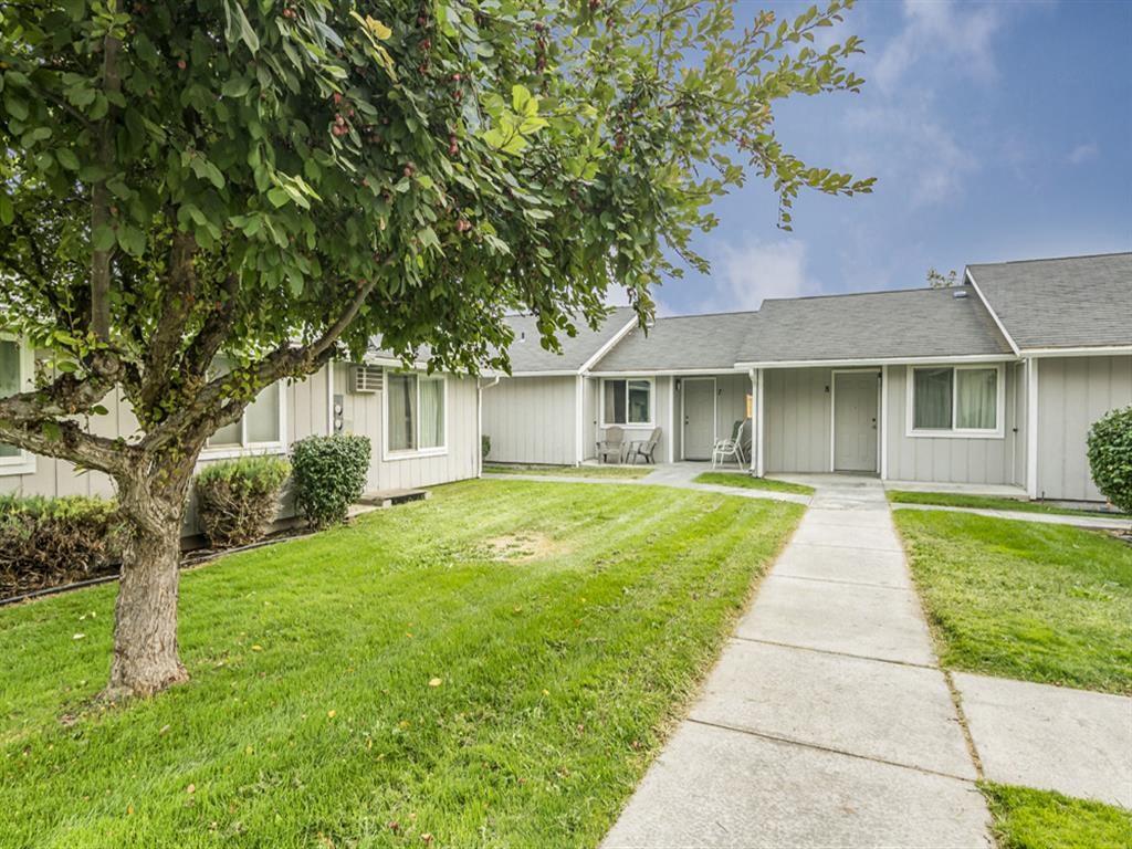 a white house with a yard and a tree