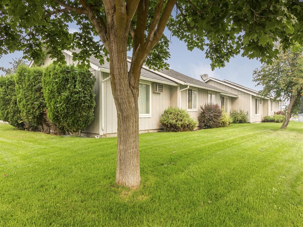 a white house with a tree in the grass