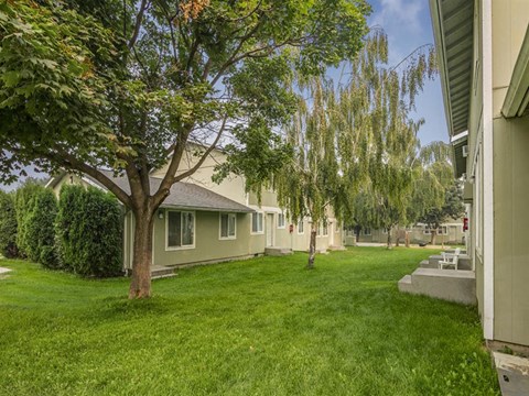 a group of houses in a yard with grass and trees