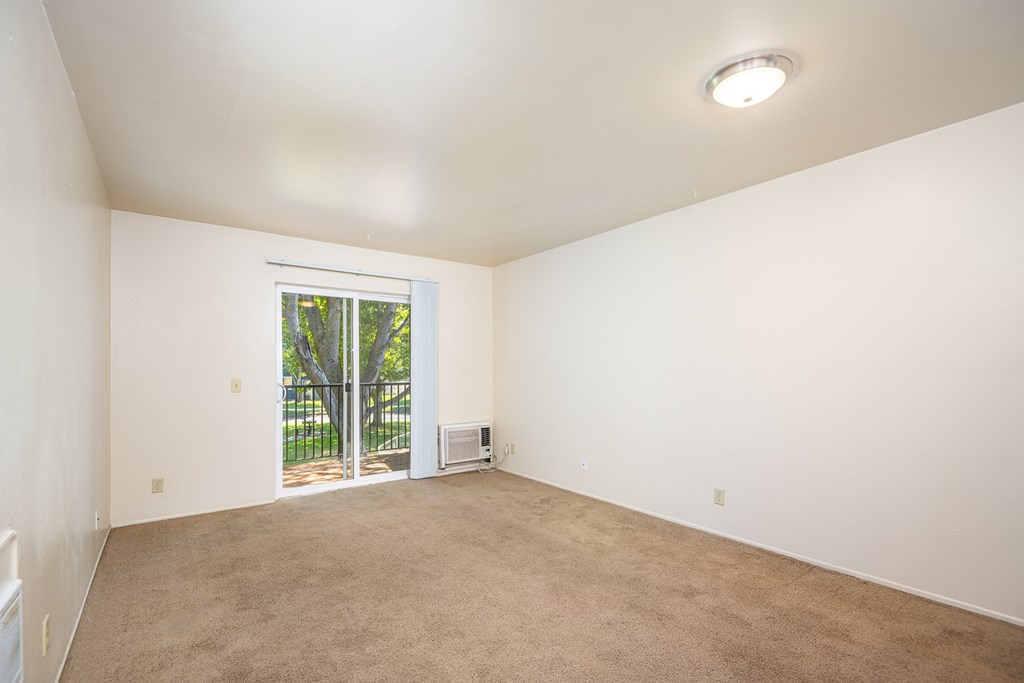 A room with a carpeted floor and a sliding glass door leading to a backyard.