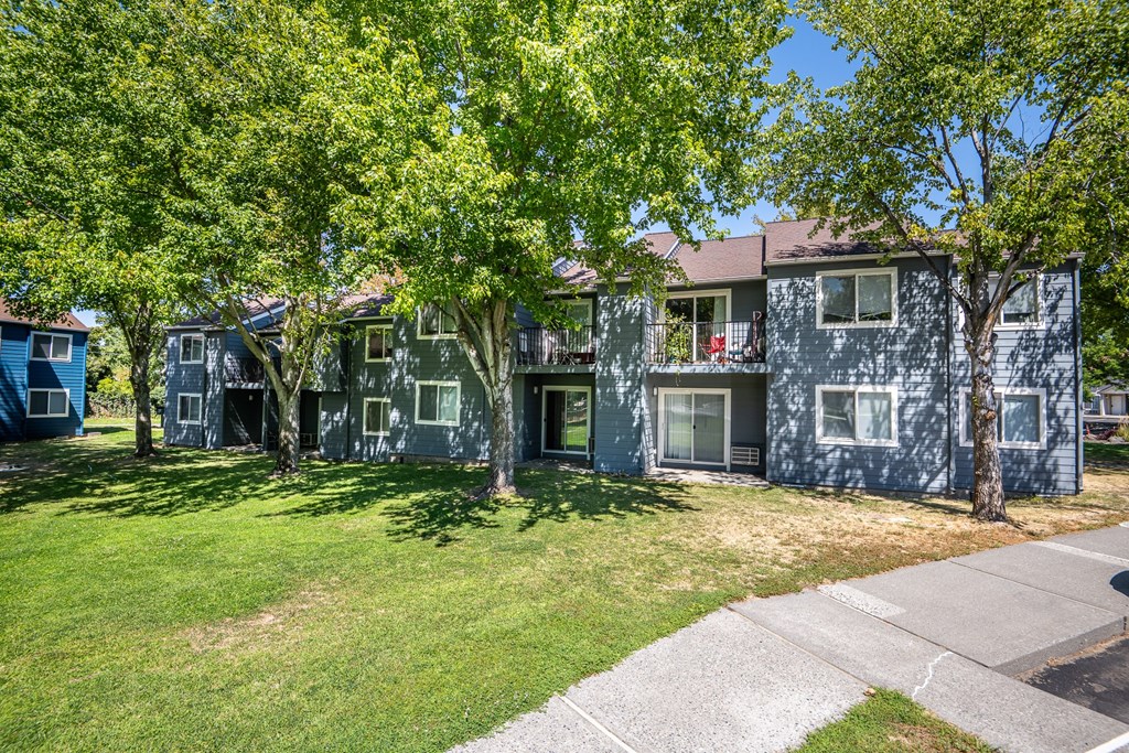 A row of houses with green trees in front.