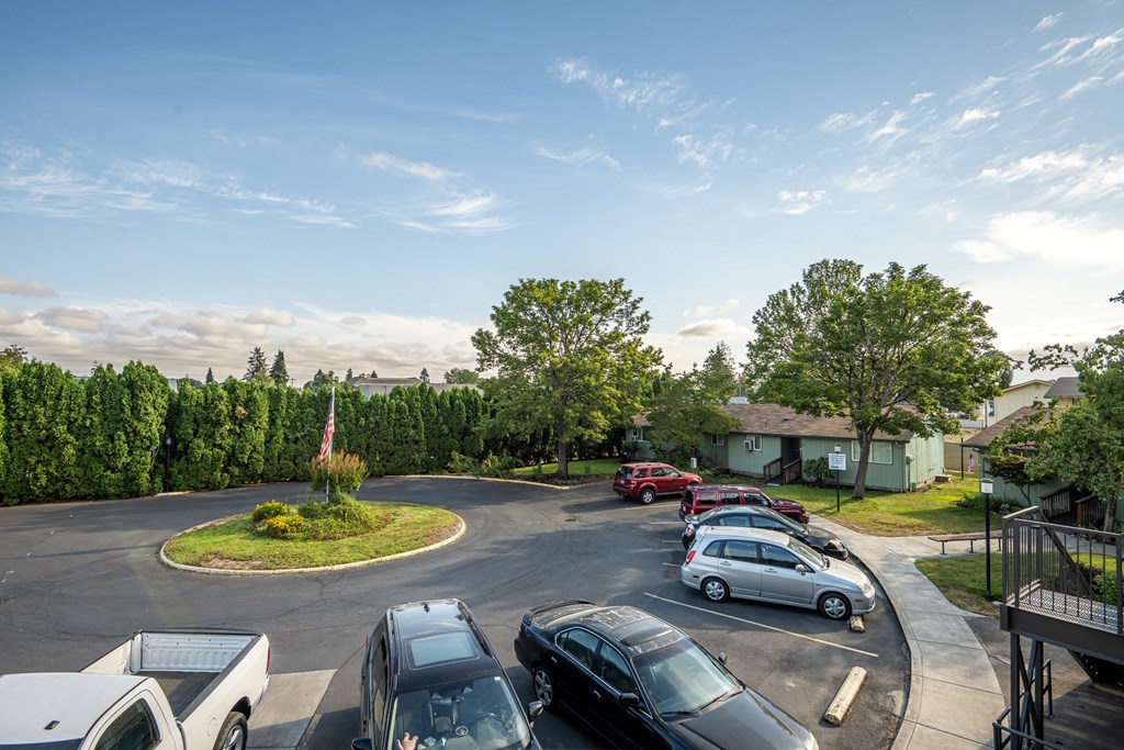 an aerial view of a parking lot with cars and trees