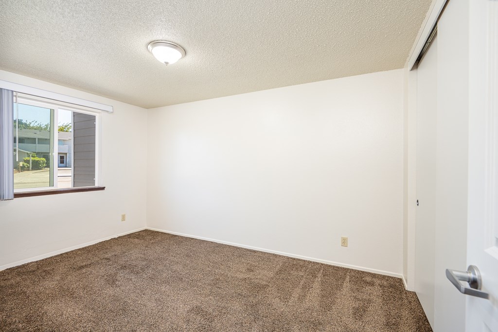 A room with a carpeted floor and a window.