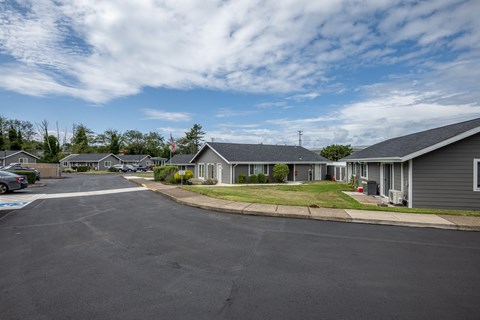 A residential area with houses and a paved road.