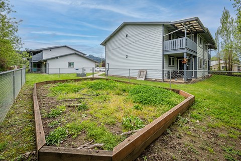 A backyard with a wooden raised garden bed in the foreground and a grey house in the background.