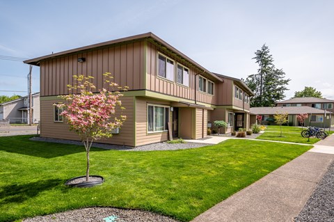 a house with a lawn and a tree in front of it