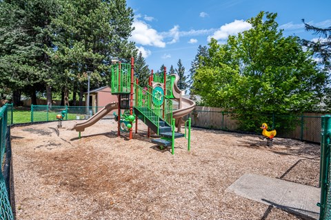 the playground at the preserve at ballantyne commons