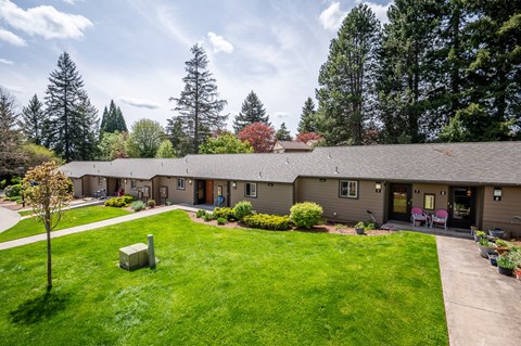 a view of a house with a yard and a sidewalk
