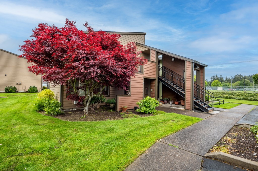 the view of a house with a red tree in front of it