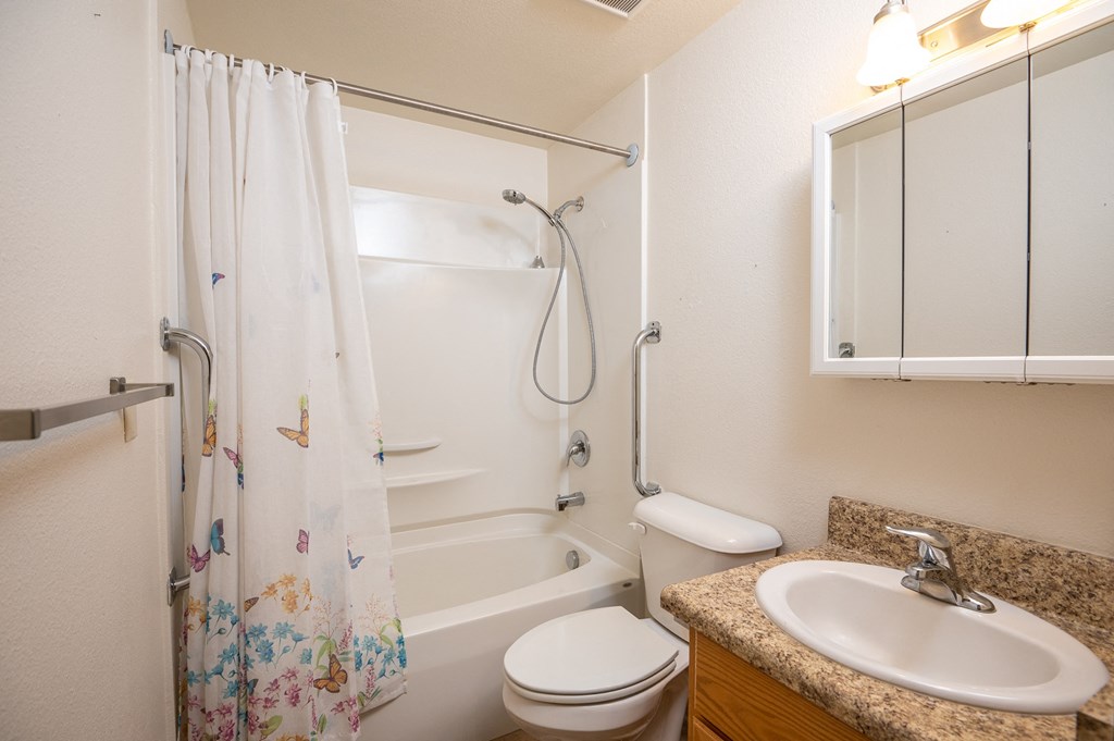 a bathroom with a shower toilet and sink and a mirror