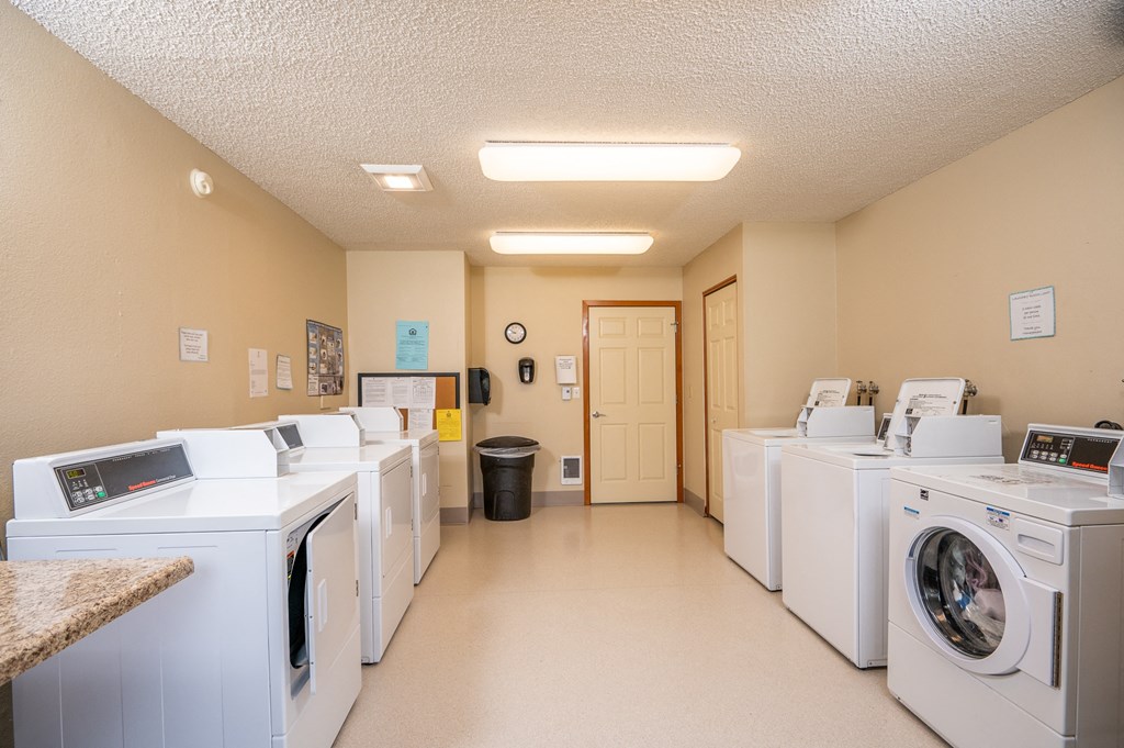 a washer and dryer laundry room with many washing machines