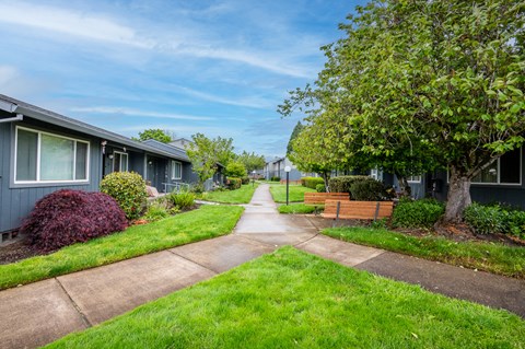 a sidewalk in front of a row of houses
