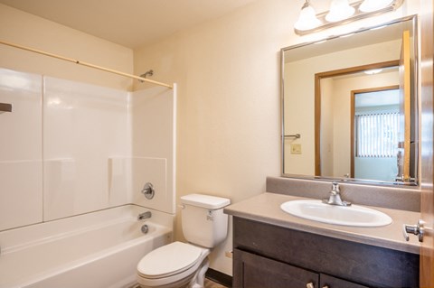 a bathroom with a shower toilet and sink and a mirror