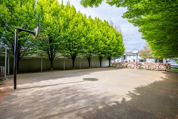 4317 Brookfield Ave 2-4 Beds Apartment, Affordable for Rent - Photo Gallery 4