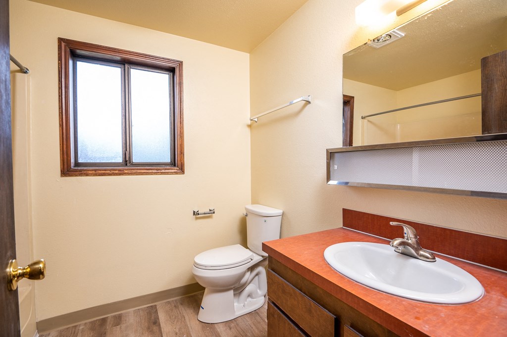 a bathroom with a toilet and a sink and a mirror