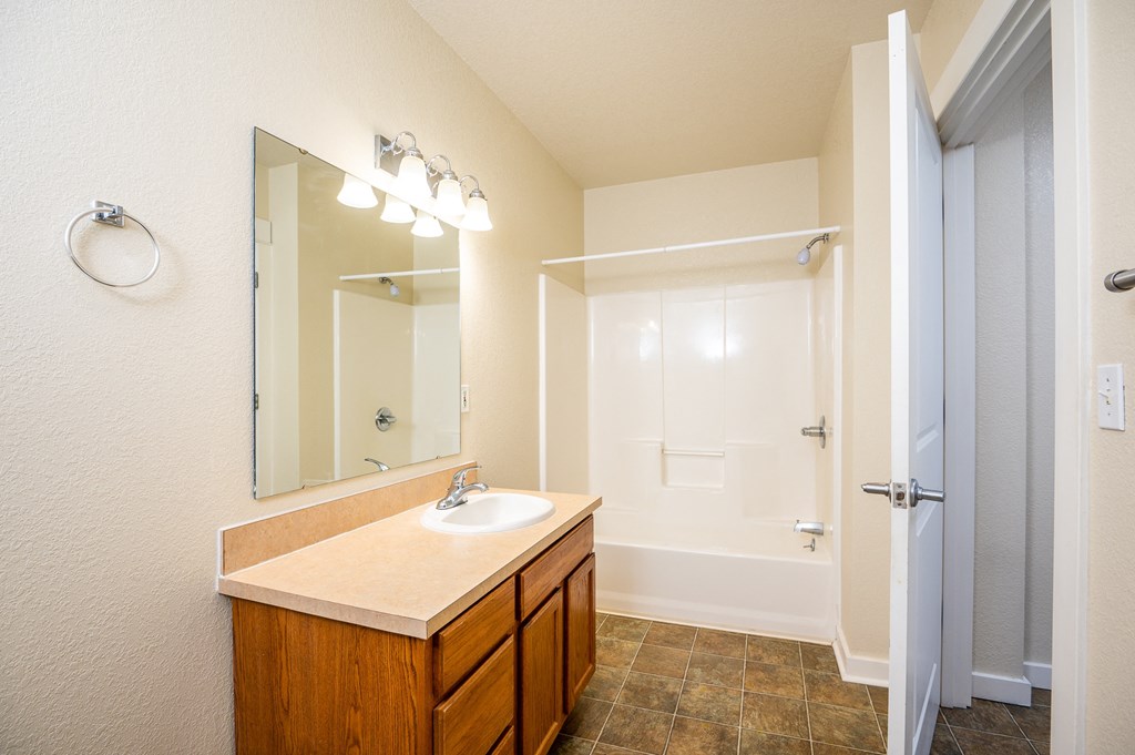 a bathroom with a sink and a mirror and a shower