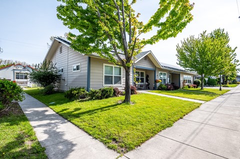 a house with a lawn and trees in front of it