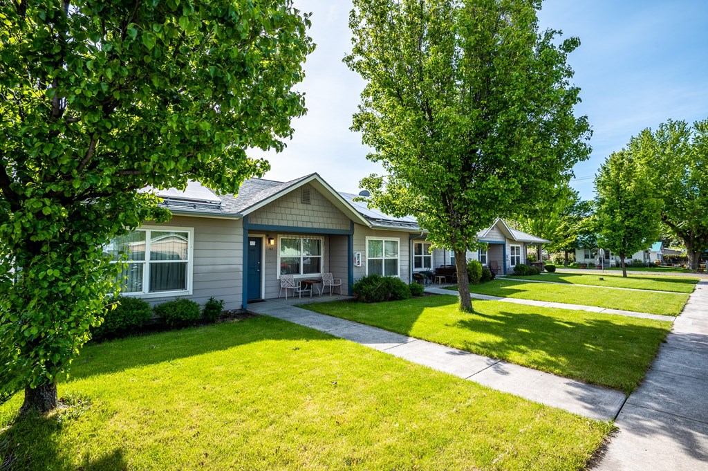 a house with a sidewalk and trees in front of it
