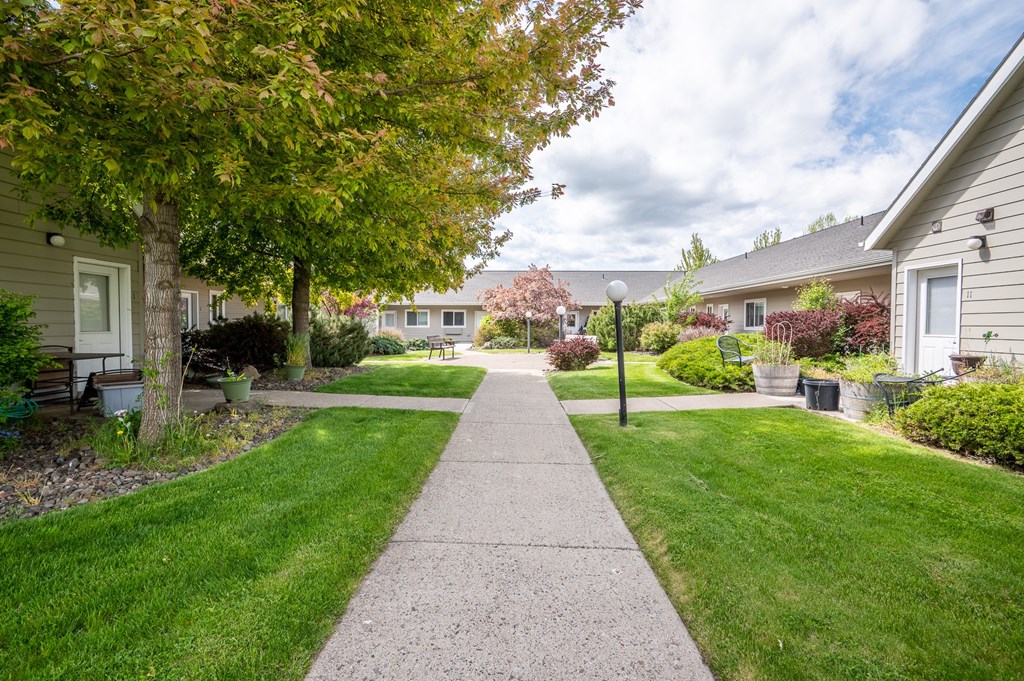 a walkway between two houses with a lawn and trees