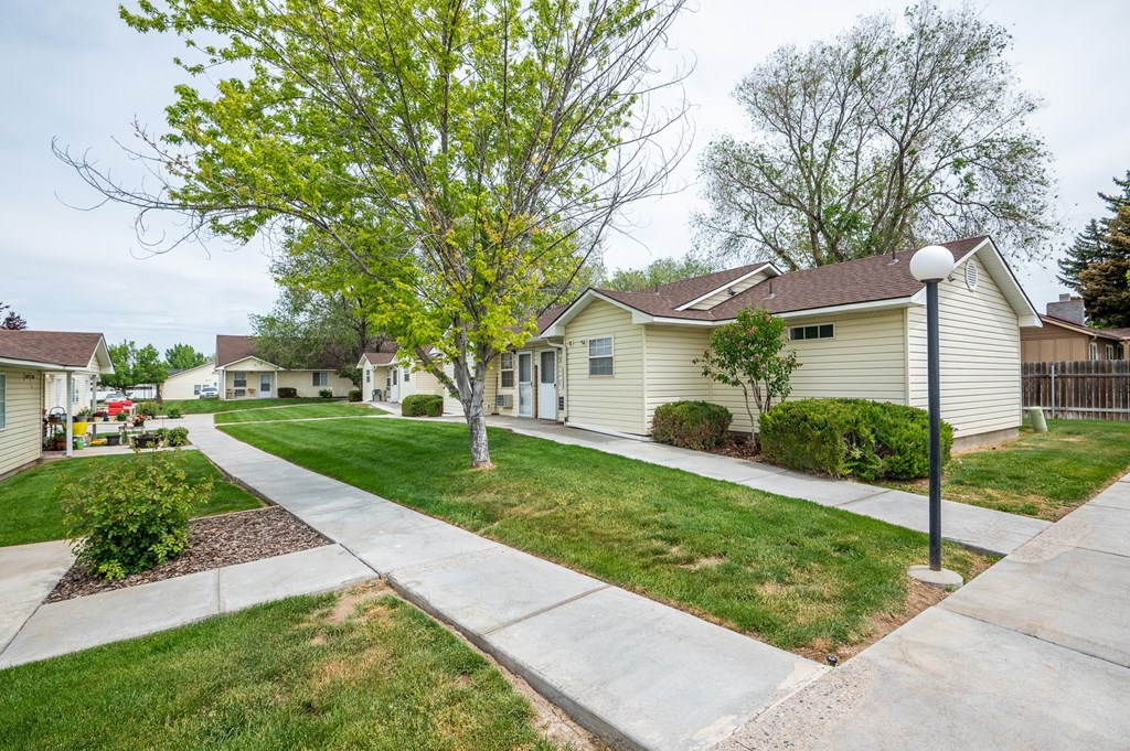 a street with white houses and trees and a sidewalk