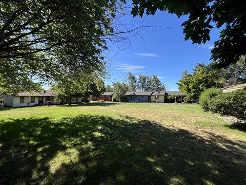 A sunny day in a residential area with houses and trees.