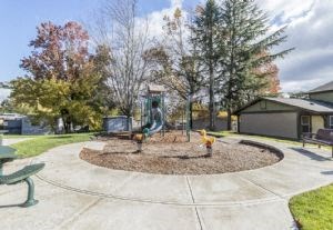 a playground in the middle of a park
